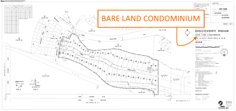 Surveyor Bare Land Condominium Plan
